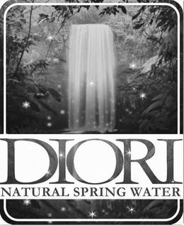 DIORI NATURAL SPRING WATER trademark