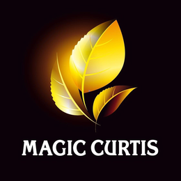 MAGIC CURTIS trademark