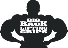 BIG BACK LIFTING GRIPS trademark