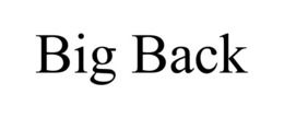 BIG BACK trademark