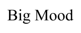 BIG MOOD trademark