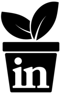 IN trademark