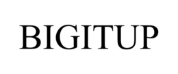 BIGITUP trademark
