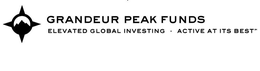 GRANDEUR PEAK FUNDS ELEVATED GLOBAL INVESTING ACTIVE AT ITS BEST trademark