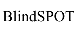 BLINDSPOT trademark