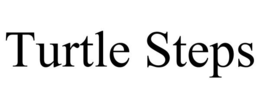 TURTLE STEPS trademark
