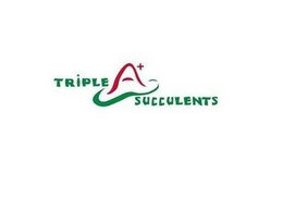 TRIPLE A+ SUCCULENTS trademark