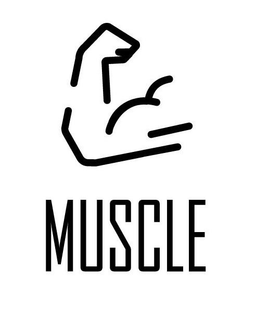 MUSCLE trademark