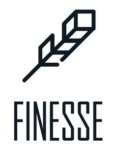 FINESSE trademark