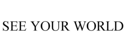 SEE YOUR WORLD trademark