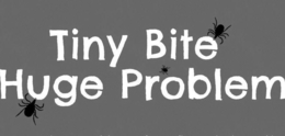 TINY BITE HUGE PROBLEM trademark