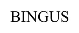 BINGUS trademark