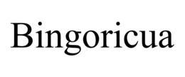 BINGORICUA trademark