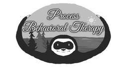 PROCESS BEHAVIORAL THERAPY trademark