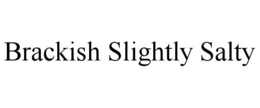 BRACKISH SLIGHTLY SALTY trademark