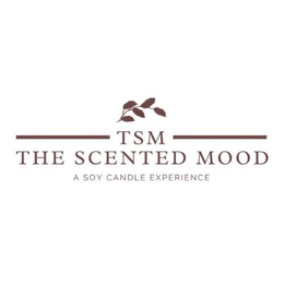 TSM THE SCENTED MOOD A SOY CANDLE EXPERIENCE trademark