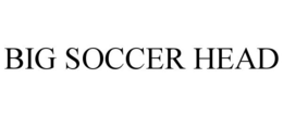 BIG SOCCER HEAD trademark