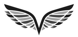 V trademark