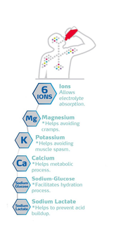 6 IONS IONS ALLOW ELECTROLYTE ABSORPTION. MG MAGNESIUM *HELPS AVOIDING CRAMPS. K POTASSIUM *HELPS AVOIDING MUSCLE SPASM. CA CALCIUM *HELPS METABOLIC PROCESS. SODIUM GLUCOSE SODIUM-GLUCOSE *FACILITATES HYDRATION PROCESS. SODIUM LACTATE SODIUM LACTATE *HELPS TO PREVENT ACID BUILDUP. trademark