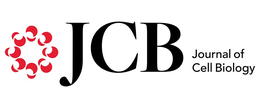 JCB JOURNAL OF CELL BIOLOGY trademark