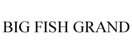 BIG FISH GRAND trademark