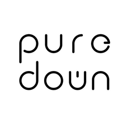 PURE DOWN trademark