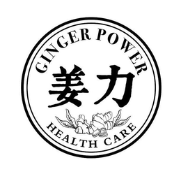 GINGER POWER HEALTH CARE trademark