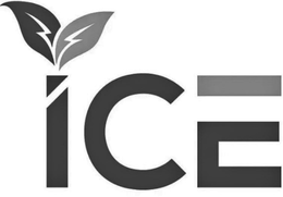 ICE trademark