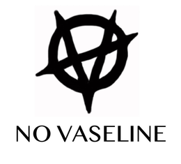 V NO VASELINE trademark