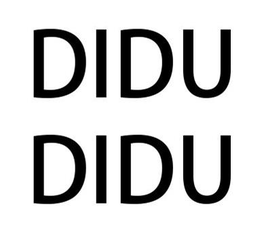 DIDUDIDU trademark