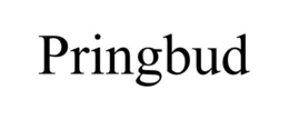 PRINGBUD trademark