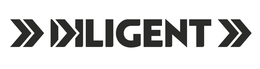 DILIGENT trademark