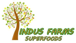 INDUS FARMS SUPERFOODS trademark