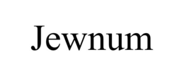 JEWNUM trademark