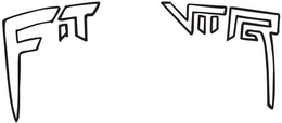 FIT VIIR trademark