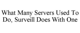 WHAT MANY SERVERS USED TO DO, SURVEILL DOES WITH ONE trademark