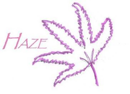 HAZE trademark
