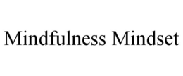 MINDFULNESS MINDSET trademark
