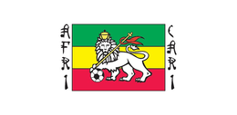 AFRI CARI trademark