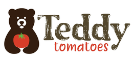 TEDDY TOMATOES trademark