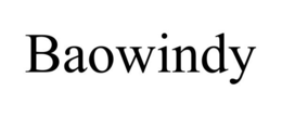 BAOWINDY trademark