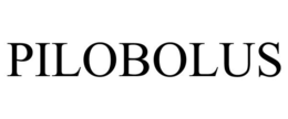PILOBOLUS trademark