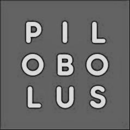 PILOBOLUS trademark