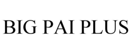 BIG PAI PLUS trademark
