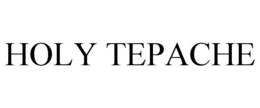 HOLY TEPACHE trademark