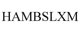 HAMBSLXM trademark