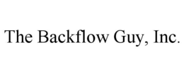 THE BACKFLOW GUY, INC. trademark