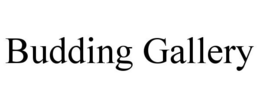 BUDDING GALLERY trademark