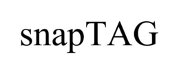 SNAPTAG trademark