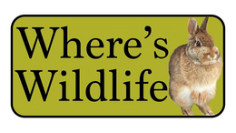 WHERE'S WILDLIFE trademark